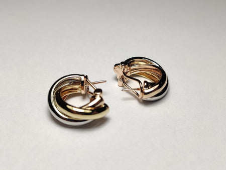 Hoop Earrings 1